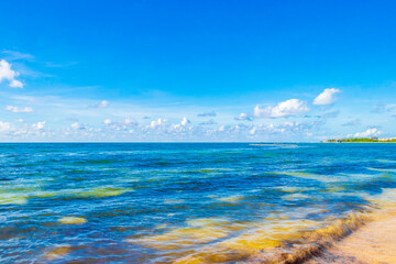 Fototapeta premium Amazing tropical beach and caribbean sea clear turquoise water Mexico.