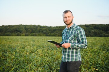Young agronomist holds tablet touch pad computer in the soy field and examining crops before...