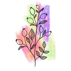 Wildflower line with colored background 