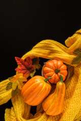 Three beatiful pumpkin on knitted yellow warm sweater. Rural style. Hello October, November. Autumn season. Cozy atmosphere 