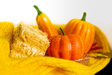 Three beatiful orange pumpkin on white background with knitted sweater, briquette hay. Autumn season. Hello October, November. Rural style. Space for text
