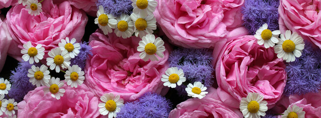Colorful floral banner. Bouquet of roses, daisies and ageratum close-up, top view. Background, texture of flowers.