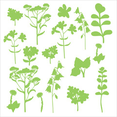 Wildflowers set, hand drawn flowers silhouettes. Meadow herbs, wild plants, botanical elements for design projects. Vector illustration.