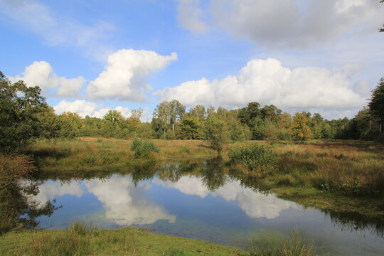 beautiful reflection of the blue sky with clouds in the water of the pool in a a green open forest in autumn