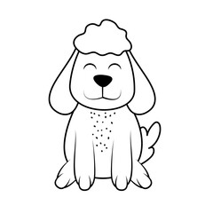 cute dog pet doodle