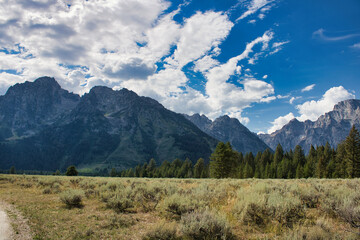 Landscape view of a meadow and evergreen forest standing in the shadow of the Teton Range in Grand Teton National Park. Taken from Cathedral Group turnout.