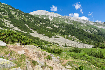 Fototapeta na wymiar Landscape of Pirin Mountain, Bulgaria