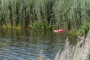 A red and white life bouy floading in the reeds of a moat.