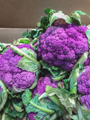 Few heads of purple hybrids of cauliflower in cardboard box. Sale of vegetables in grocery store.