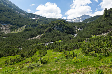 Landscape of Pirin Mountain, Bulgaria