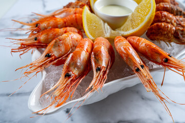 shrimp on ice champagne on a gray background