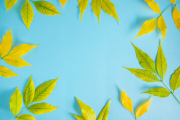 Autumn creative minimal background. Yellow and green leaves on a pastel blue background. Flat lay, top view design with copy space. 