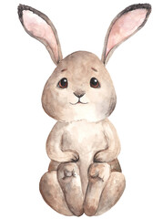 Obraz premium Watercolor Hare Illustration, Forest Animals PNG