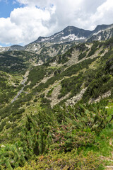 Naklejka premium Landscape of Pirin Mountain, Bulgaria