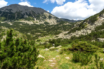 Fototapeta na wymiar Landscape of Pirin Mountain, Bulgaria