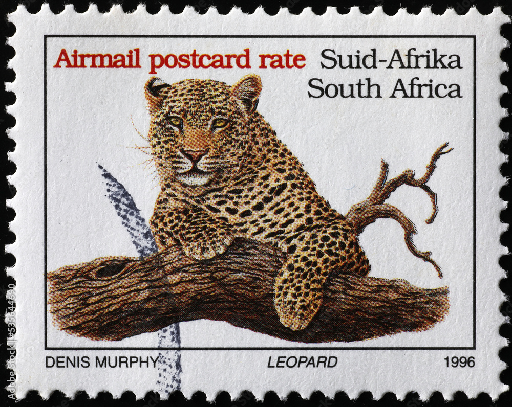 Wall mural leopard on south african postage stamp