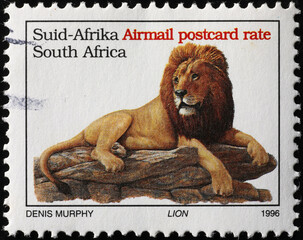 Lion on south african postage stamp