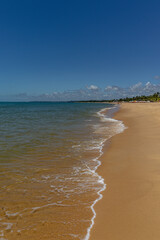 natural landscape in the city of Porto Seguro, State of Bahia, Brazil