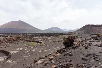 Foto op Canvas Typical landscape of the Canarian island of Lanzarote. Spain. © Sergey Kohl
