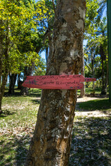 natural landscape in the city of Porto Seguro, State of Bahia, Brazil