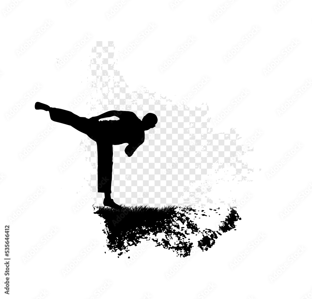 Wall mural Karate, Martial arts. High kick