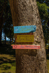 natural landscape in the city of Porto Seguro, State of Bahia, Brazil