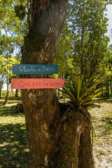 natural landscape in the city of Porto Seguro, State of Bahia, Brazil