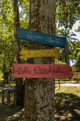 natural landscape in the city of Porto Seguro, State of Bahia, Brazil