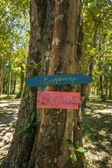 natural landscape in the city of Porto Seguro, State of Bahia, Brazil