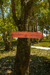 natural landscape in the city of Porto Seguro, State of Bahia, Brazil