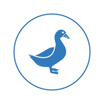 Domestic pets bird duck icon | Circle version icon |