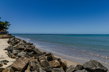 natural landscape in the city of Porto Seguro, State of Bahia, Brazil