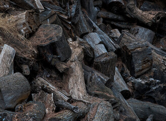 Forest timber piled up in random disorder