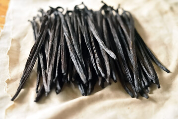 vainas de vainilla ya beneficiadas listas para ser utilizadas en gastronomía gourmet gracias a su...