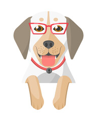 Obraz premium Cute dog face with paws up on border