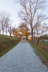Two unrecognizable women hiking on a path surrounded by bare trees. Massachusetts, USA