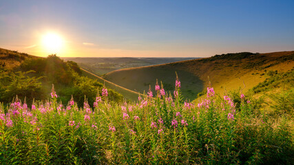 Mid-summer sunset over the Meon Valley from Butser Hill, South Downs National Park, UK