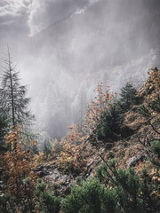 Watzmann Berchtesgaden Alpen Herbst