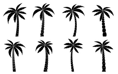 Palm tree black silhouette set. Beautiful tropical beach plant. Coconut jungle cultivated gardening. Exotic tree for natural vacation poster, exotic botany miami banner, Hawaiian travel tourism card