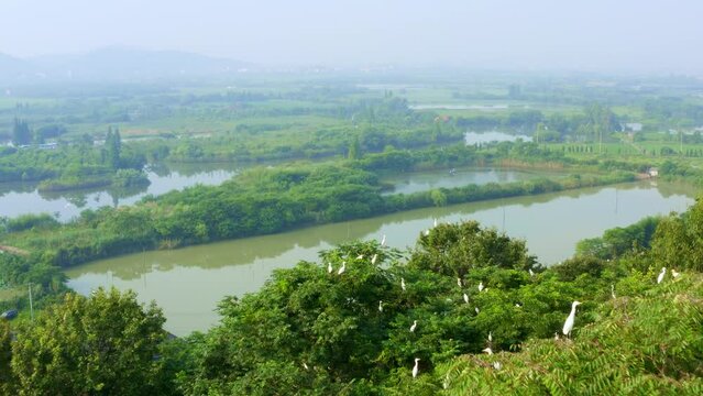 aerial view of wet land park in shaoxing,zhejiang