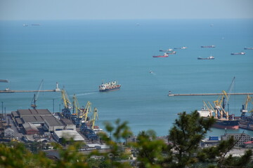 boats in the harbor