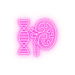 Kidney stones urethra neon icon