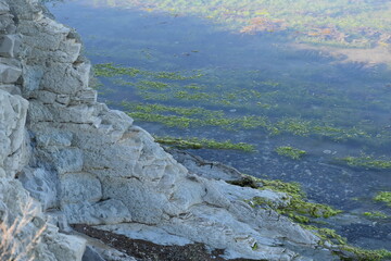 natural background