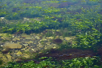 natural background