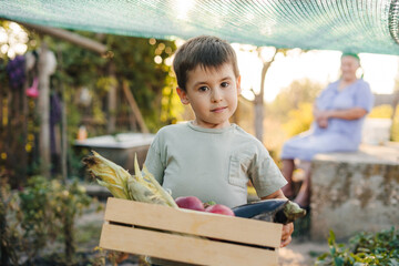 Portrait of a caucasian boy walking through village garden holding box with different fresh...