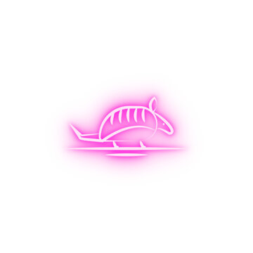 recommend clip art: armadillo desert animal neon icon
