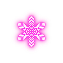 Snowflake neon icon