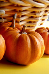 close up view of mini orange pumpkins. Fall decor 