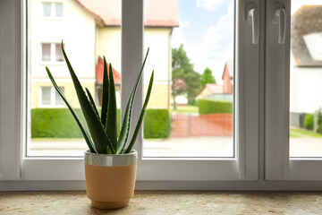 Green aloe vera in pot on marble windowsill indoors, space for text. Beautiful houseplant