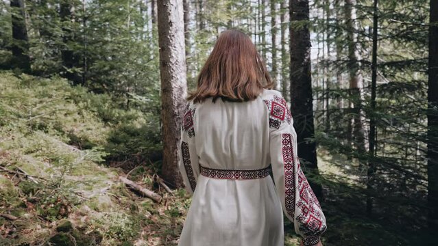 Back view of ukrainian woman walking in fir forest, Carpathian mountains nature. Girl in traditional embroidery vyshyvanka dress. Ukraine, freedom, ethnic national costume